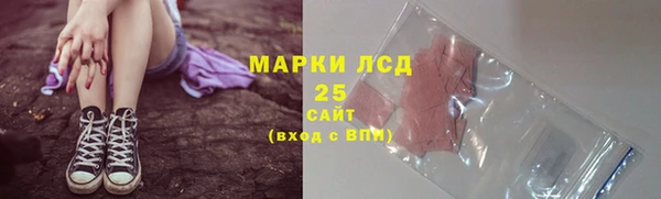 сатива Армянск