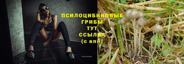 трава Арсеньев