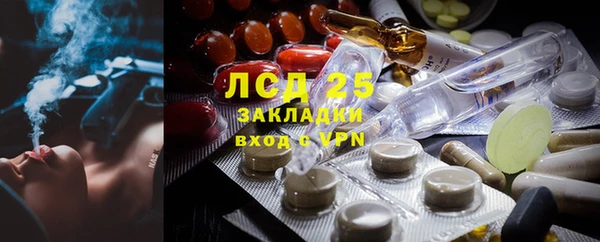 СК Аркадак